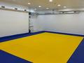 Фитнес и спорт, образование · 85 м² за 80 000 ₸ в Астане, Есильский р-н — фото 2