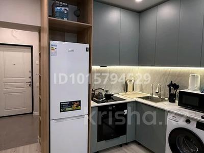 1-комнатная квартира · 30 м² · 7/17 этаж, Ауэзова 2/8 за 300 000 ₸ в Алматы, Алмалинский р-н