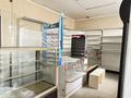 Свободное назначение, магазины и бутики, общепит · 200 м² за 1.5 млн ₸ в Астане, Алматы р-н — фото 12