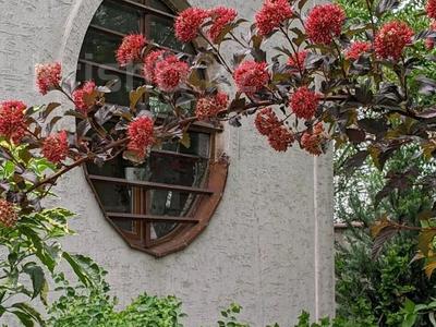 Отдельный дом · 6 комнат · 240 м² · 10 сот., Жемис — Алатауская трасса. рядом БАКАД за 100 млн 〒 в Талдыбулаке