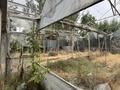Дача · 4 комнаты · 80 м² · 10 сот., Черняевка — Черняевка за 30 млн ₸ в Сарыагаш — фото 23