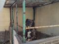 Отдельный дом · 8 комнат · 380 м² · 6 сот., Шара жиенкулова 37 за 100 млн ₸ в Таразе — фото 55