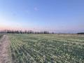 Участок · 80 га, Набережная за ~ 1.8 млрд ₸ в Есик — фото 7