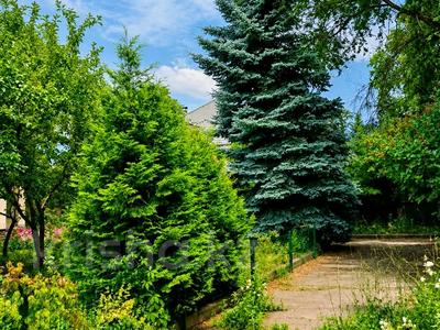 Участок · 31 сотка, Дулати — Свежесть за 400 млн ₸ в Алматы, Бостандыкский р-н