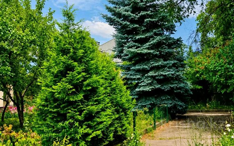 Жер телімі · 31 сотық, Дулати — Свежесть, бағасы: 400 млн ₸ в Алматы, Бостандыкский р-н — фото 11