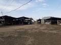 Ауыл шаруашылығы • 200 м², бағасы: 100 млн 〒 в Улане — фото 13