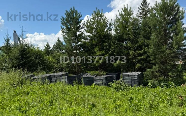 Участок · 17 соток, Канай би 83 — Магазин у Ивана напротив за 36 млн ₸ в Щучинске — фото 2