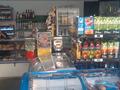 Магазины и бутики • 40 м² за 58 млн 〒 в Туздыбастау (Калинино) — фото 9