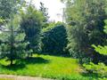 Дача · 3 комнаты · 40 м² · 6 сот., жилой массив Кайнар Булак, Виноградная 231 за 16 млн ₸ в Шымкенте, Абайский р-н — фото 15
