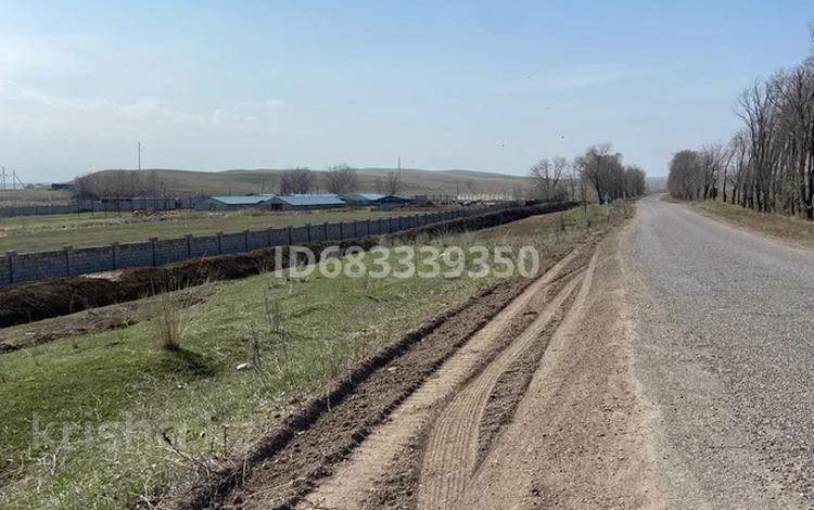 Сельское хозяйство • 4000 м² за 80 млн 〒 в Узынагаш — фото 2