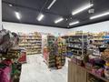 Свободное назначение, магазины и бутики · 131.9 м² за 67 млн ₸ в Астане — фото 7