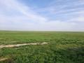 Сельское хозяйство • 840 м² за 44 млн 〒 в Туркестанской обл. — фото 7