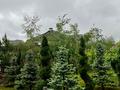 Жеке үй · 8 бөлме · 600 м² · 10 жүзд., Тулпар коттеджный городок 148, бағасы: 350 млн ₸ в Шымкенте, Каратауский р-н — фото 4