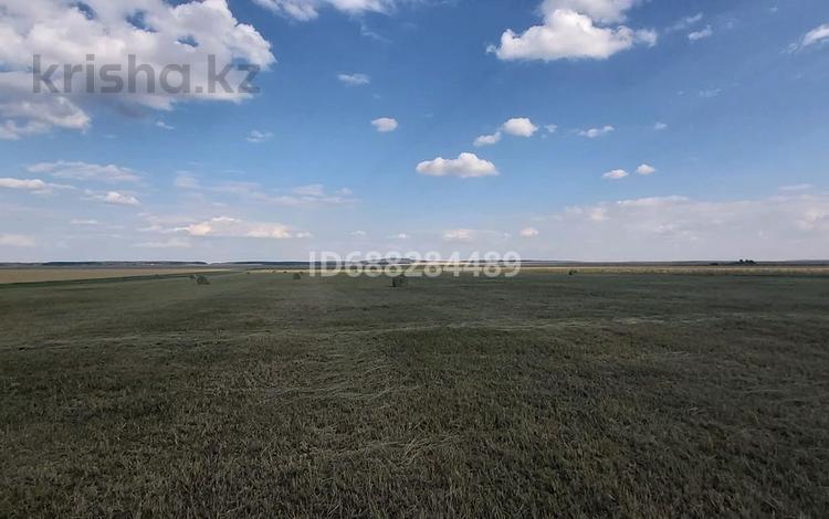 Сельское хозяйство • 1500 м² за 30 млн 〒 в Щучинске — фото 2