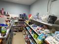 Готовый продуктовый магазин! · 92 м², бағасы: 18 млн ₸ в Астане, Есильский р-н — фото 11