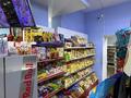 Готовый продуктовый магазин! · 92 м², бағасы: 18 млн ₸ в Астане, Есильский р-н — фото 14
