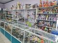 Магазины и бутики • 100 м² за 950 000 〒 в Караганде, Алихана Бокейханова р-н — фото 5