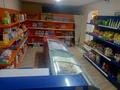 Магазины и бутики · 70 м² за 200 000 ₸ в Шымкенте, Туран р-н — фото 8