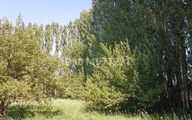 Жер телімі · 20 сотық, Әмірхан Керімханов, бағасы: 15 млн ₸ в Тасарыке — фото 2