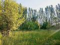 Жер телімі · 20 сотық, Әмірхан Керімханов, бағасы: 15 млн ₸ в Тасарыке — фото 6