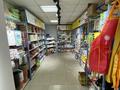 Свободное назначение, магазины и бутики, салоны красоты · 40 м² за 400 000 ₸ в Астане, Сарыарка р-н — фото 14