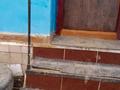 Отдельный дом · 4 комнаты · 65 м² · 10.4 сот., Ленина за 21 млн ₸ в Затобольске (Тобыле) — фото 14