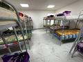 2 комнаты · 110 м² · 1 этаж, Ыкылас Дукенулы 38 за 3 000 ₸ в Астане, р-н Байконур — фото 5