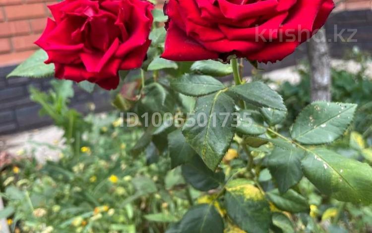 Отдельный дом · 6 комнат · 287 м² · 8 сот., Кызылжар 7а за 54 млн 〒 в Караоткеле — фото 11