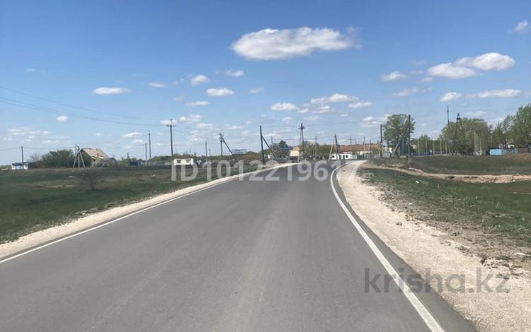 Отдельный дом · 4 комнаты · 70 м² · 33 сот., ул. Мира 66 за 17 млн ₸ в Арайлы — фото 2