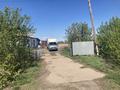 Отдельный дом · 4 комнаты · 70 м² · 33 сот., ул. Мира 66 за 17 млн ₸ в Арайлы — фото 4