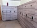 Бани, гостиницы и зоны отдыха · 243.5 м² за 49.9 млн ₸ в Дамса — фото 4
