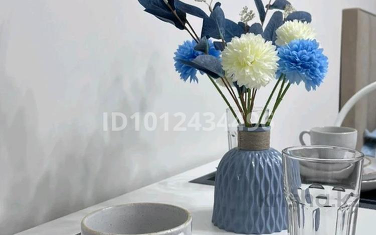 1-бөлмелі пәтер · 25 м², Есенова 160/3, бағасы: 250 000 ₸ в Алматы, Жетысуский р-н — фото 2