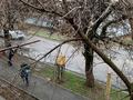 2-бөлмелі пәтер · 48 м² · 2/2 қабат, Рыскулова 19 — Рыскулова Ясауйи, бағасы: 7.9 млн ₸ в Кентау — фото 11