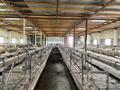 Откормочную базу · 2000 м², бағасы: 100 млн ₸ в  — фото 3
