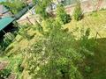 Отдельный дом · 7 комнат · 345 м² · 11 сот., Рыскулова 1 за ~ 130.1 млн ₸ в  — фото 7