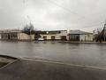 Свободное назначение, магазины и бутики · 200 м² за 400 000 ₸ в Шымкенте, Туран р-н — фото 5