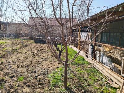 Участок · 10 соток, Құтарыс 6 за 15 млн ₸ в Шымкенте