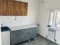 Дом квартиры · 250 м² за 53 млн ₸ в Исаеве — фото 2