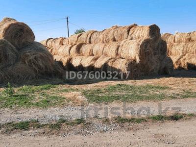 Сельское хозяйство • 3812 м² за 250 млн 〒 в Рудном