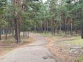 3-бөлмелі пәтер · 100 м² · 3/3 қабат, Тауелсыздык 138 кв.7 — Возле леса, бағасы: 28 млн ₸ в  — фото 5