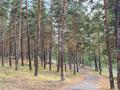 3-бөлмелі пәтер · 100 м² · 3/3 қабат, Тауелсыздык 138 кв.7 — Возле леса, бағасы: 28 млн ₸ в  — фото 6