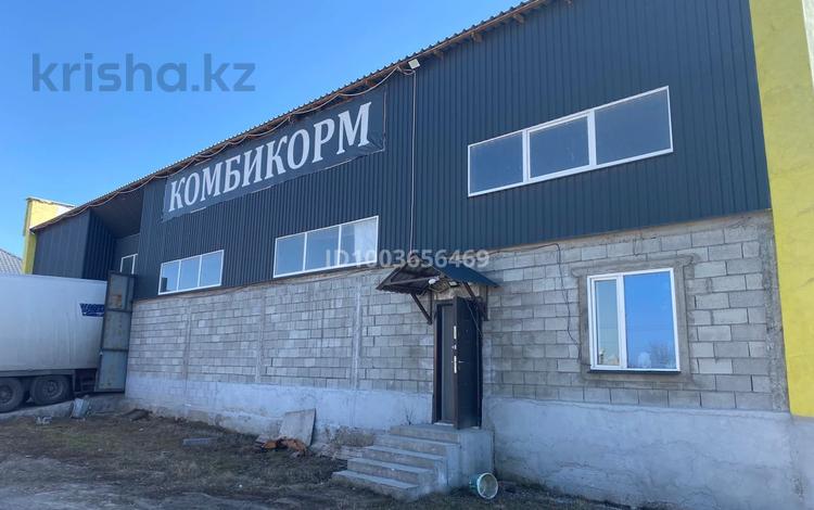Еркін · 850 м², бағасы: 190 млн ₸ в Алатау, п. Арман — фото 2