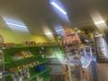 Магазины и бутики · 200 м² за 200 000 ₸ в Актюбинской обл., Иргиз
