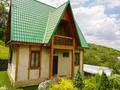 Отдельный дом · 8 комнат · 500 м² · 81 сот., мкр Каменское плато, С/о Алмалык за 620 млн ₸ в Алматы, Медеуский р-н — фото 27