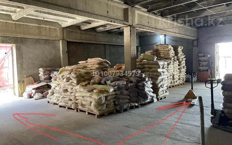 Свободное назначение · 1000 м² за 1 млн 〒 в Талдыкоргане — фото 2