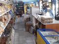 Магазины и бутики • 350 м² за 25 млн 〒 в Бескарагае — фото 6