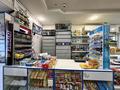 Свободное назначение, магазины и бутики · 108 м² за 68 млн ₸ в Астане, Сарыарка р-н — фото 3