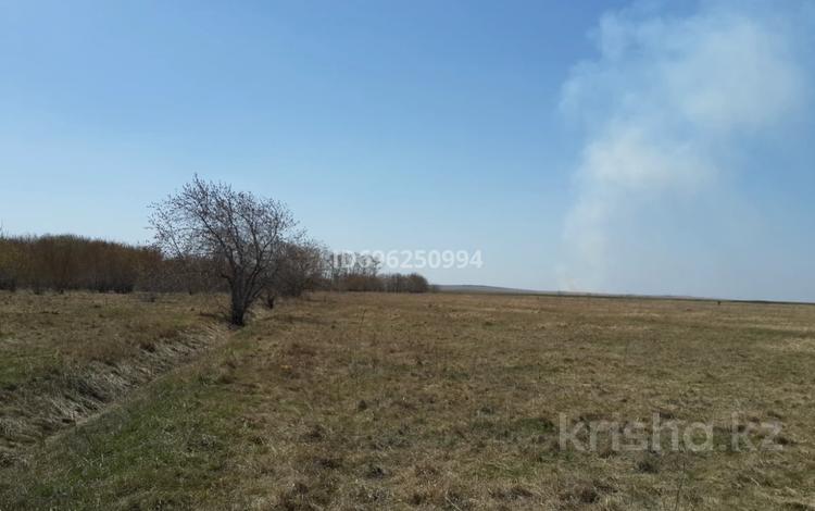 Участок · 30 соток, Дачный кооператив Зерен за 3 млн ₸ в  — фото 2