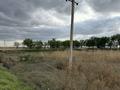 Участок · 25 соток, Алатау батыр село Казахстан — Трасса Шардара Арыс за 5.5 млн ₸ — фото 13