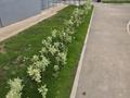 2-бөлмелі пәтер · 58.4 м² · 5/9 қабат, А102 1, бағасы: 34.5 млн ₸ в Астане, Сарайшык р-н — фото 23